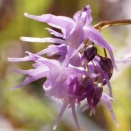 ３月１３日は何の日？