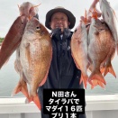 ６月２４日の釣果