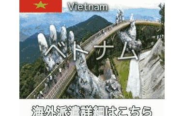 『ベトナムエスコート求人情報』の画像