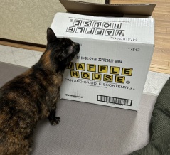 今年もお世話になりました 【It's A Beautiful Day】