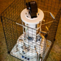 ワンポールテント