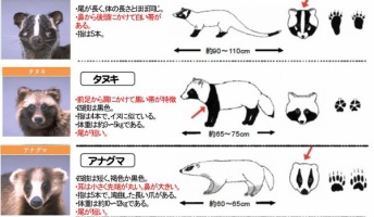 【役立つ】参考になる系の画像貼ってけ