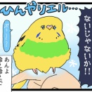  鳥さんのあんよ、ポカポカのアチチ/ 📢ガチャガチャが出たよ！📢