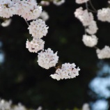 『才能発見と天職開発の違い』の画像
