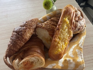 バタバタな日常の始まり始まり〜♪