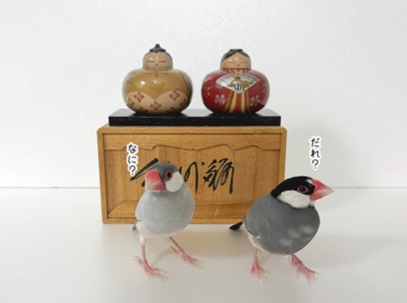 ひな祭りの撮影ですって