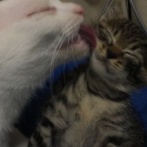 最後に見る光景　20260302