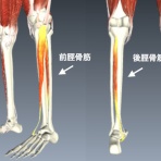 RUNART ランナート足の治療院ブログ　