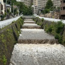 暴風雨で会社に行けない♭