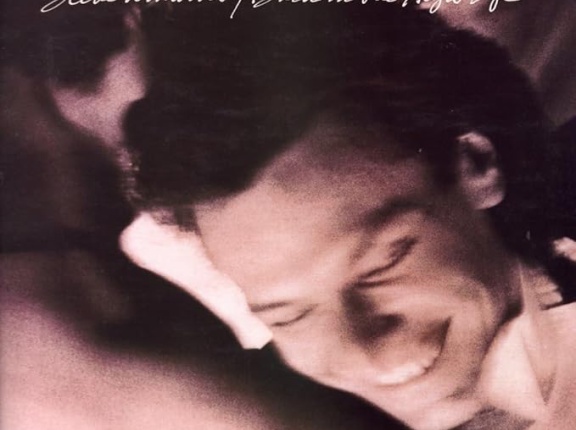 ■ BACK IN THE HIGH LIFE ／ STEVE WINWOOD