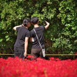 『2025.10 児島湖花回廊「秋季見学会❷」岡山市南区築港栄町』の画像