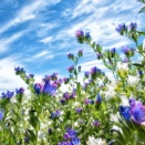 【父の真意】父「中々子どもが出来ないのは旦那君の精●の量が少ないからじゃないか。ゴミ箱に捨ててあった避妊具をチェックした」旦那「え？」