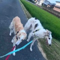 日向ぼっこ。