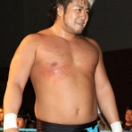 2ちゃんねる的プロレスまとめ