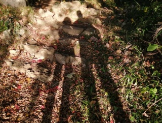 夫だって寂しい、それと・・・　