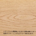 木と色に向き合う2日間―ICS出張家具塗装セミナー2026