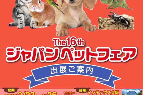 キャンパー鹿児島ブログ 17年02月