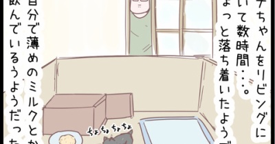 子猫２匹。それぞれ慣らしてジャラシて・・・のまき