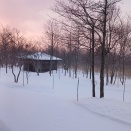 晴れのち曇りの予報です