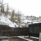 ふきのとうおみみえ