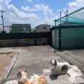 日向ぼっこ♪