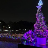 『春待月の舞』の画像