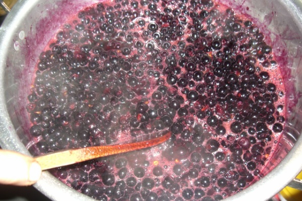 山ぶどう写真展 山ぶどう ワイン