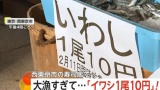 大漁すぎて、『イワシ1尾10円』の大セールが行われる！（※画像あり）