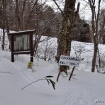 やまあんどびあ