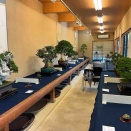 第2回・盆栽教室生徒作品展❗️
