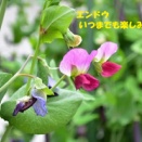 暦‐2026年2月10日