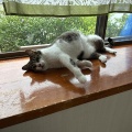 カカオちゃん、ひさしぶり