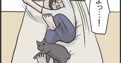 猫が乗っていて動かせない右足