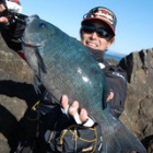 �إ���֣ǣ���ӥ���������٤β���