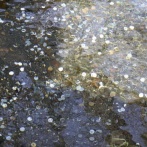 【湧水池】世界遺産「忍野八海」大量の投げ銭に困ってます…透明度の高さ魅力なのに乱反射・腐食で水質影響の懸念