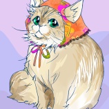 猫の練習などしました