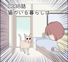 あんこ＆麦2338 猫のいる暮らしは