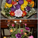 辰之介の日々 4月のお花・・・（家に来て4791日目）