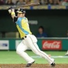 日ハムの近藤健介とかいう評価に困るバッター 	