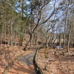 塩原温泉　彩つむぎ　女将の独り言