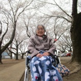 『「うぐいす・すずめ」お花見！』の画像