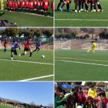 『サッカーはやめられない』の画像