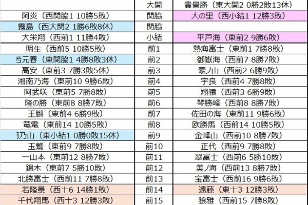 大幅値下げ 大相撲浦安場所 4月18日 ぶち込め チケット2枚