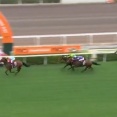【競馬】香港チャンピオンズデー　日本馬が6頭出走