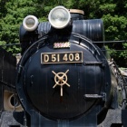 『LAOWA65mm2倍マクロによる生田緑地①　2020/09/19』の画像