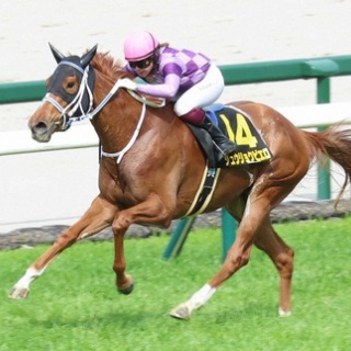 ☆うまなみ・競馬にゅーす速報