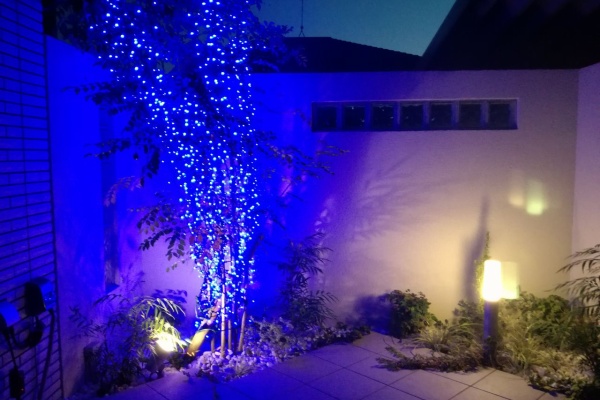 テラスの木をクリスマスツリーに ブルーのledでイルミネーション 電気代は意外と安い I Smart Looking House 一条工務店で個性派住宅