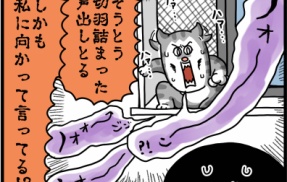 予告してくれてた猫
