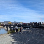 好きなニュースまとめ