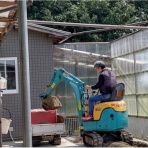 NPO犬猫みなしご救援隊・代表ブログ・みなしご庵へようこそ